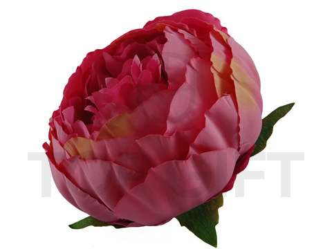 PEONIA WYROBOWA