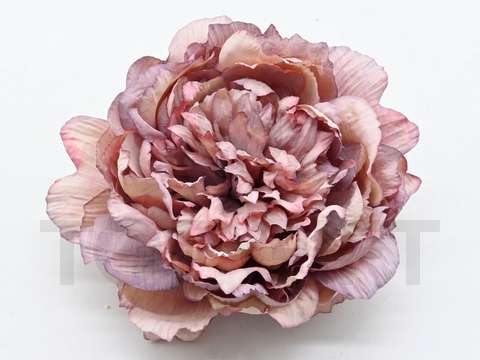 PEONIA WYROBOWA